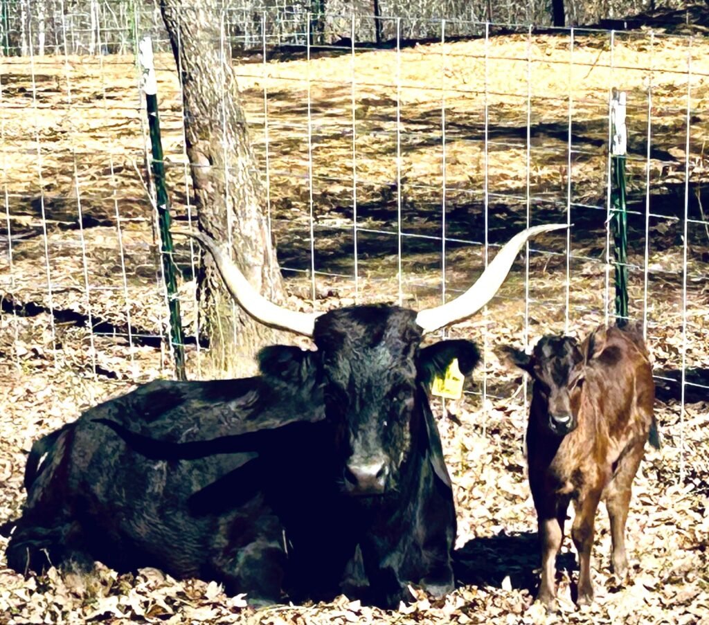 Mc With Mom 1 1024x903