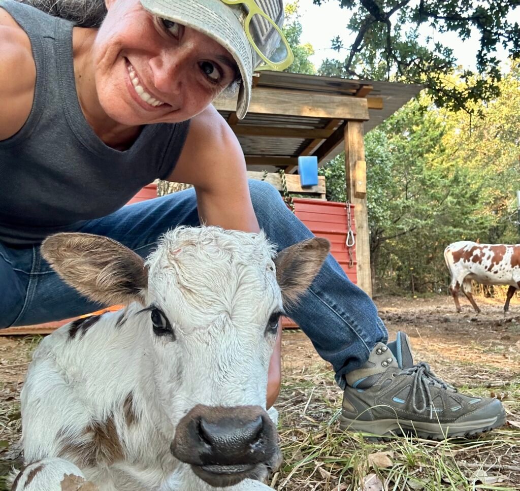 Available Longhorns img 9906